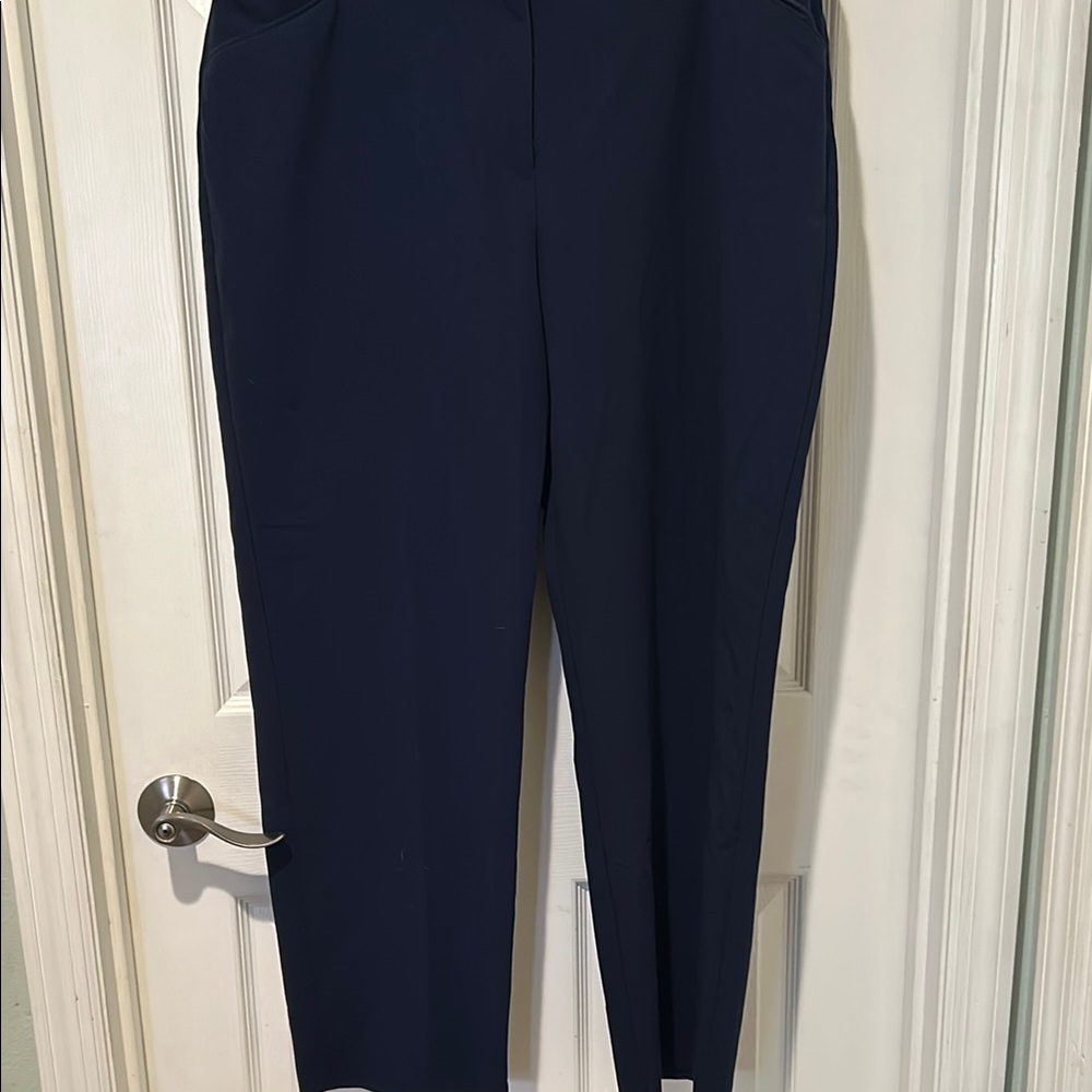 Chicos size 3 Women's Navy Pants